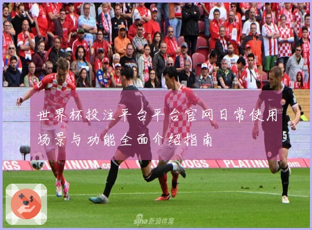 世界杯投注平台平台官网日常使用场景与功能全面介绍指南