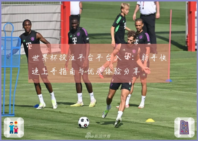 世界杯投注平台平台入口：新手快速上手指南与优质体验分享