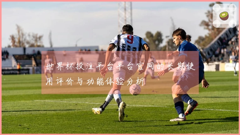 世界杯投注平台平台官网的长期使用评价与功能体验分析
