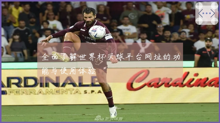 全面了解世界杯买球平台网址的功能与使用体验
